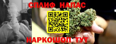дмт Аргун