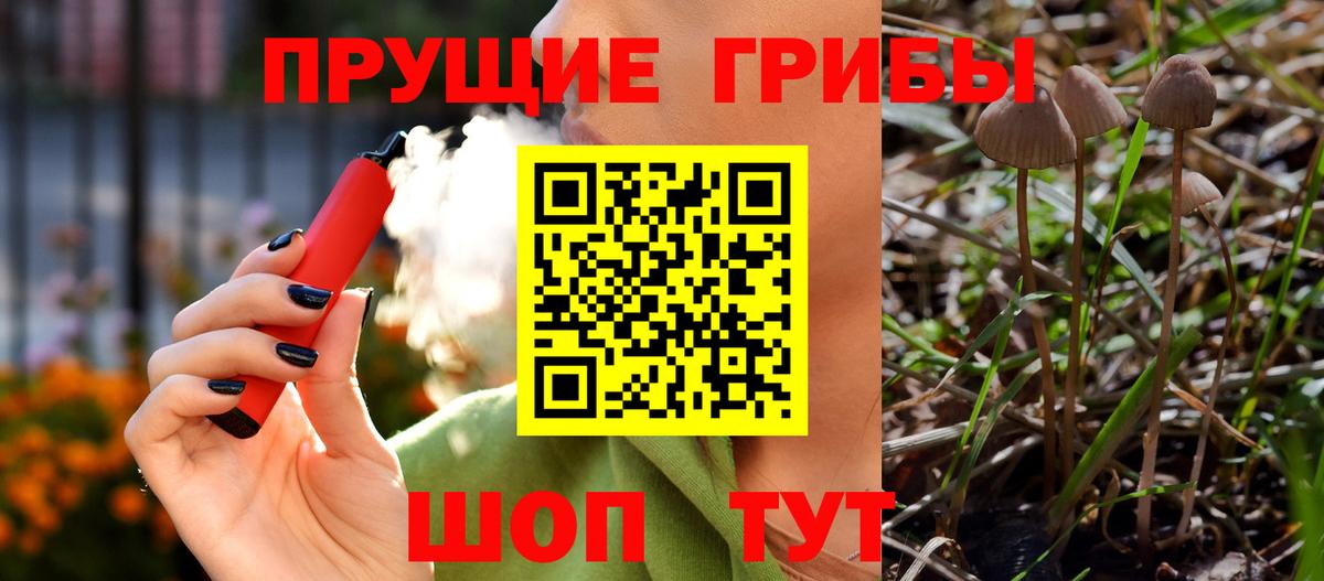 Галлюциногенные грибы мицелий Вятские Поляны