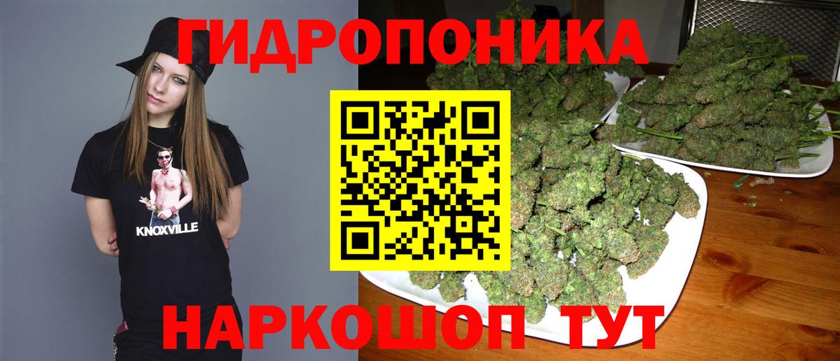 Канабис сатива  Вход с VPN  Вятские Поляны  Бошки марихуана индика 